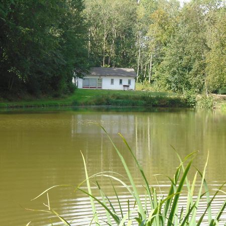 Deux Etangs Poissonneux Au Milieu Des Bois Avec Gite Moderne, La Halte Des Deux Lacs Rosée Zewnętrze zdjęcie