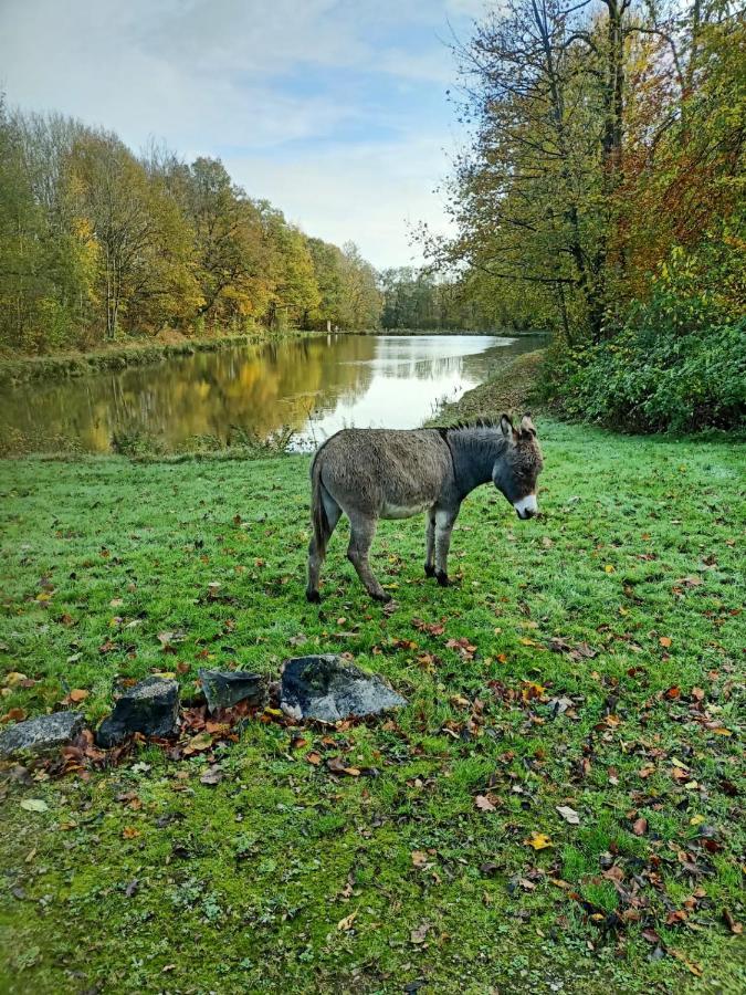 Deux Etangs Poissonneux Au Milieu Des Bois Avec Gite Moderne, La Halte Des Deux Lacs Rosée Zewnętrze zdjęcie