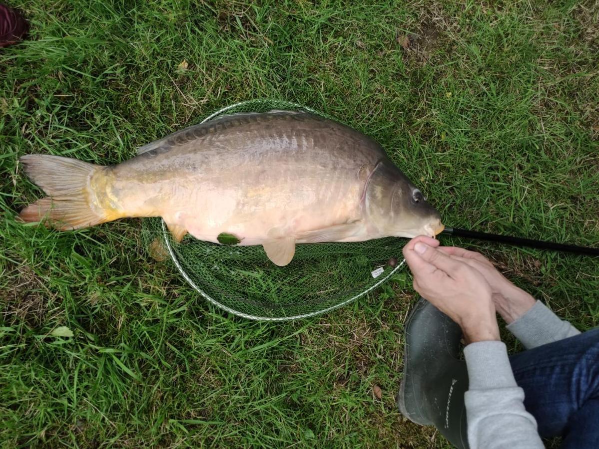 Deux Etangs Poissonneux Au Milieu Des Bois Avec Gite Moderne, La Halte Des Deux Lacs Rosée Zewnętrze zdjęcie