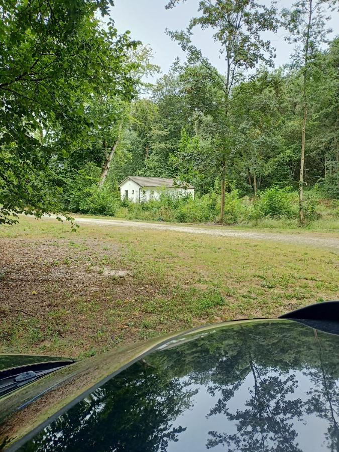 Deux Etangs Poissonneux Au Milieu Des Bois Avec Gite Moderne, La Halte Des Deux Lacs Rosée Zewnętrze zdjęcie