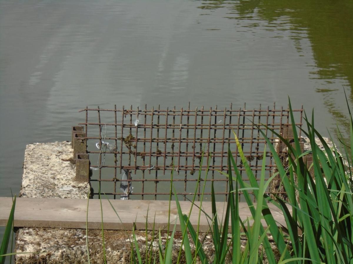 Deux Etangs Poissonneux Au Milieu Des Bois Avec Gite Moderne, La Halte Des Deux Lacs Rosée Zewnętrze zdjęcie