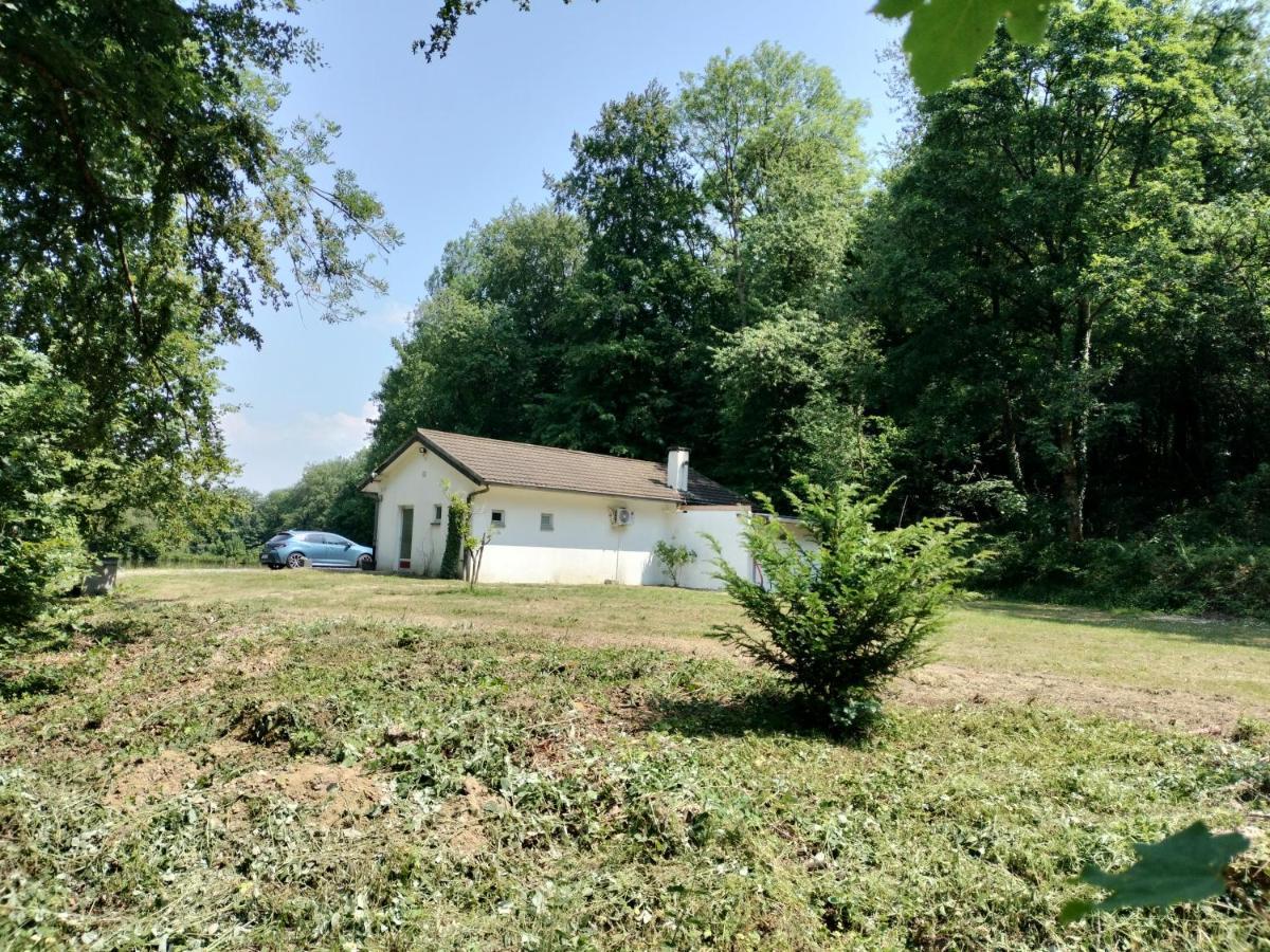 Deux Etangs Poissonneux Au Milieu Des Bois Avec Gite Moderne, La Halte Des Deux Lacs Rosée Zewnętrze zdjęcie